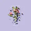 SLINGSHOT DAKOTA – break (CD, LP Vinyl)