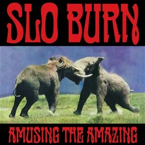 SLO BURN – amusing the amazing (BF 2025) (LP Vinyl)