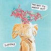 SLOTFACE – try not to freak out (CD, LP Vinyl)
