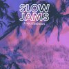 SLOW JAMS – punk standards (LP Vinyl)