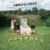SNÖFFELTÖFFS – frohnau (LP Vinyl)