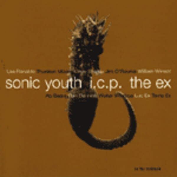 Cover SONIC YOUTH / ICP / EX, in the fishtank 9