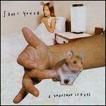 Cover SONIC YOUTH, thousand leaves