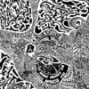 SPACEMEN 3 – taking drugs to make music to take drugs to (CD)
