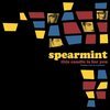 SPEARMINT – this candle is for you (LP Vinyl)