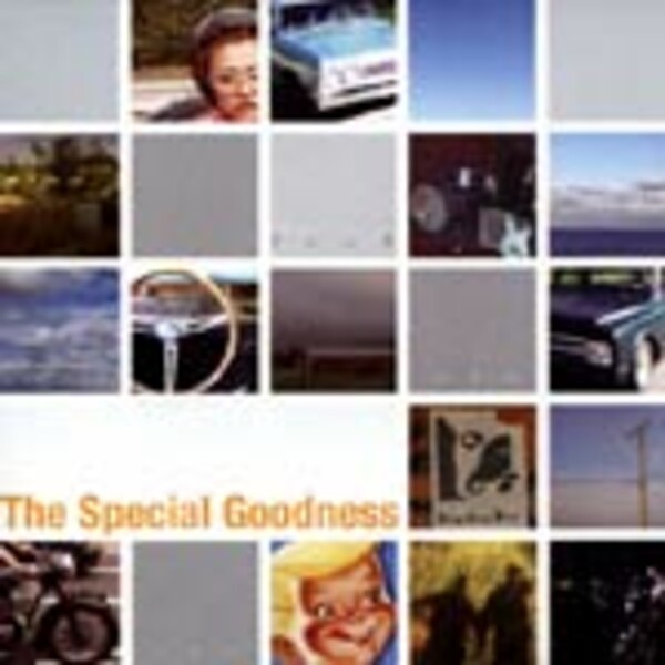 SPECIAL GOODNESS – land, air, sea ... (CD)