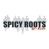 SPICY ROOTS – get ready (LP Vinyl)