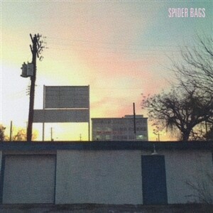 Cover SPIDER BAGS, someday everything will be fine