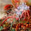 SPIDERGAWD – IV (LP Vinyl)