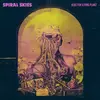 SPIRAL SKIES – blues for a dying planet (CD)