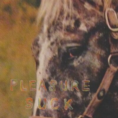 SPIRIT OF THE BEEHIVE – pleasure suck (CD, LP Vinyl)