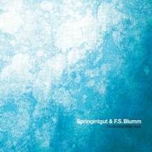 SPRINGINTGUT & F.S. BLUMM – the bird and white noise (LP Vinyl)