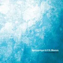 SPRINGINTGUT & F.S. BLUMM – the bird and white noise (LP Vinyl)