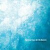 SPRINGINTGUT & F.S. BLUMM – the bird and white noise (LP Vinyl)
