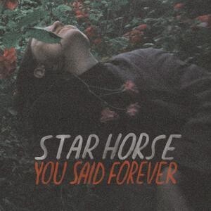 STAR HORSE – you said forever (LP Vinyl)