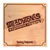 STEADYTONES – heavy impact (LP Vinyl)