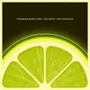 STEAMING SATELLITES – the great lime paradigm (CD, LP Vinyl)