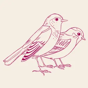 STEFANIE SCHRANK – birdfriends (boy), white (Textil)