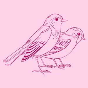 STEFANIE SCHRANK – birdfriends (girl), brazilian yellow (Textil)