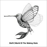 STEFFI, world of the waking state cover