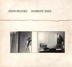 STEVE PICCOLO – domestic exile (LP Vinyl)