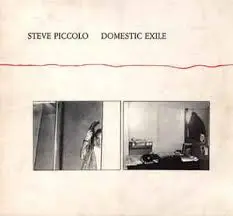 STEVE PICCOLO – domestic exile (LP Vinyl)