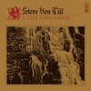 STEVE VON TILL – a life unto itself (LP Vinyl)