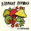 STRAIGHT ARROWS – it´s happening (CD, LP Vinyl)