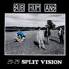 SUBHUMANS – 29:29 split vision (CD, LP Vinyl)