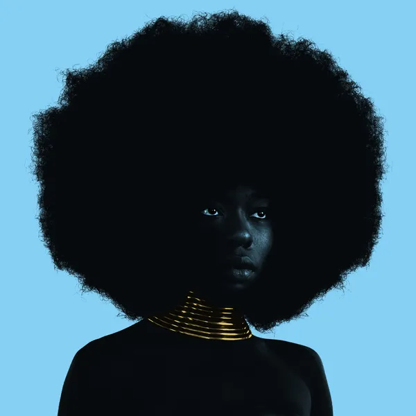 SUDAN ARCHIVES – sink-ep (12" Vinyl)