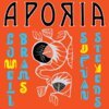 SUFJAN STEVENS & LOWELL BRAMS – aporia (CD, LP Vinyl)