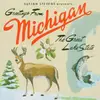 SUFJAN STEVENS – michigan (CD, LP Vinyl)