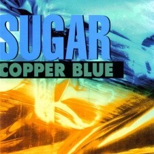 SUGAR, copper blue / beaster cover