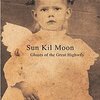 SUN KIL MOON – ghosts of the great highway (LP Vinyl)