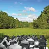 SUNDOWNERS – larger hole of wisdom (LP Vinyl)
