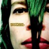 SUPERCHUNK – misfits & mistakes - singles, b-sides & strays (CD, LP Vinyl)