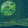 SUPERORGANISM – s/t (CD, LP Vinyl)