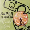 SUPERPLUCKERS – sunny day (LP Vinyl)
