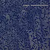 SURGEON – basictonalvocabulary (LP Vinyl)