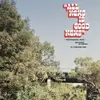 SURPRISE CHEF – all news is good news (LP Vinyl)