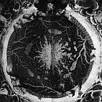 Cover SUTEKH HEXEN, luciform