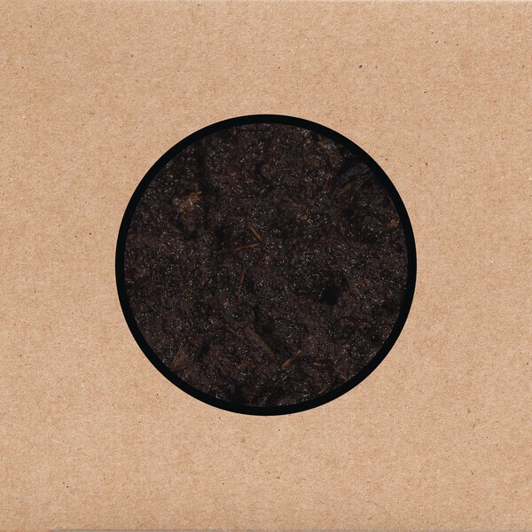 SWANS – birthing (CD, LP Vinyl)