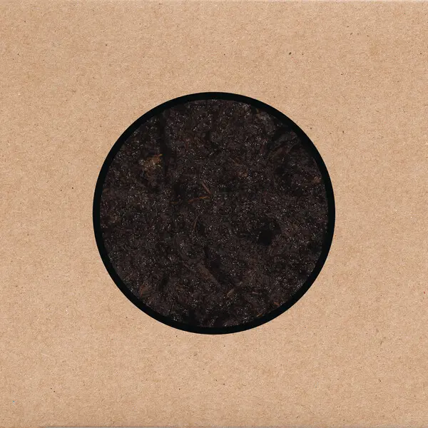 SWANS – birthing (CD, LP Vinyl)
