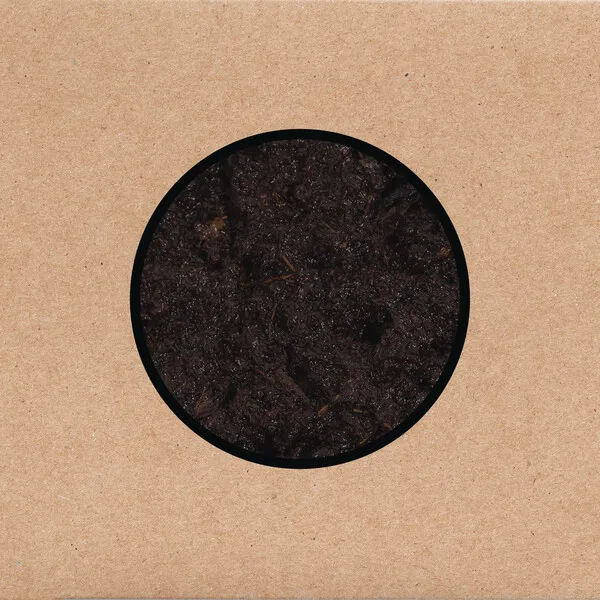 SWANS – birthing (LP Vinyl)