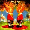 SWANS – love of life (LP Vinyl)