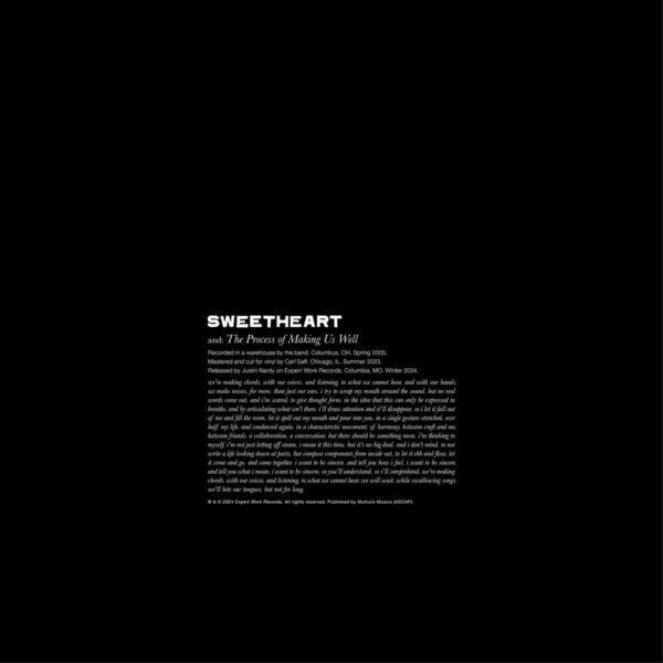 SWEETHEART – the process of making us well (LP Vinyl)