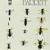 SYD BARRETT – barrett (CD, LP Vinyl)