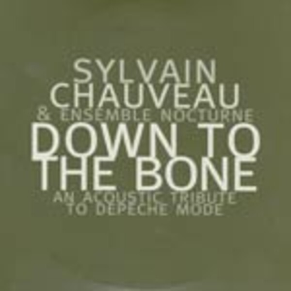 SYLVAIN CHAUVEAU – down to the bone (CD, LP Vinyl)