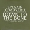 SYLVAIN CHAUVEAU – down to the bone (CD, LP Vinyl)