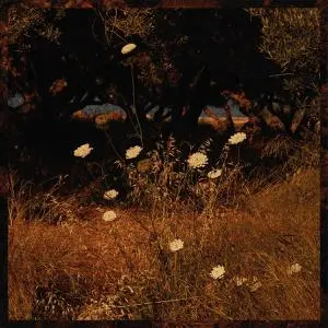 SZUN WAVES – earth patterns (CD, LP Vinyl)